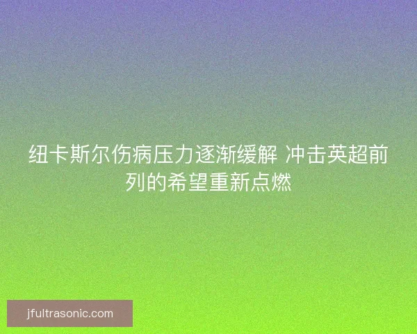 纽卡斯尔伤病压力逐渐缓解 冲击英超前列的希望重新点燃