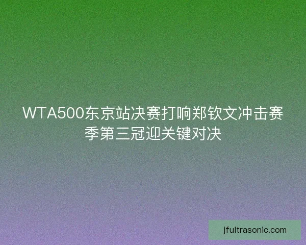 WTA500东京站决赛打响郑钦文冲击赛季第三冠迎关键对决 WTA500东京站决赛打响郑钦文冲击赛季第三冠迎关键对决