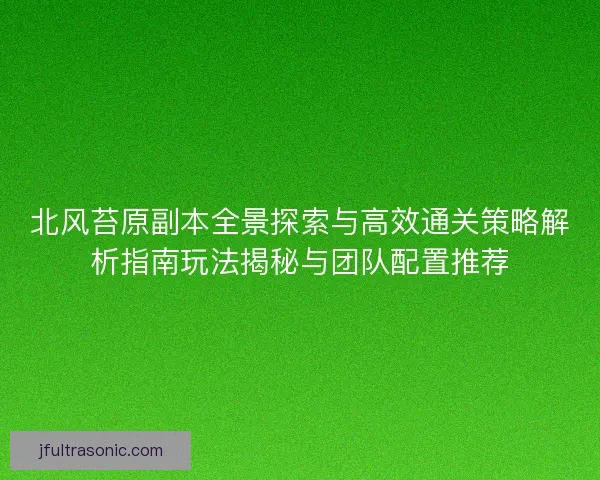 北风苔原副本全景探索与高效通关策略解析指南玩法揭秘与团队配置推荐