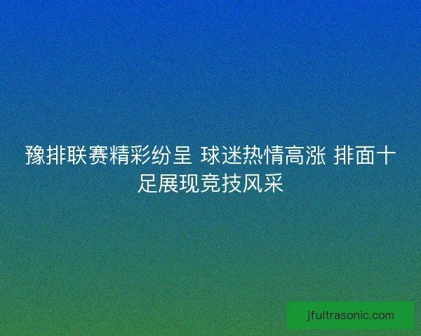 豫排联赛精彩纷呈 球迷热情高涨 排面十足展现竞技风采